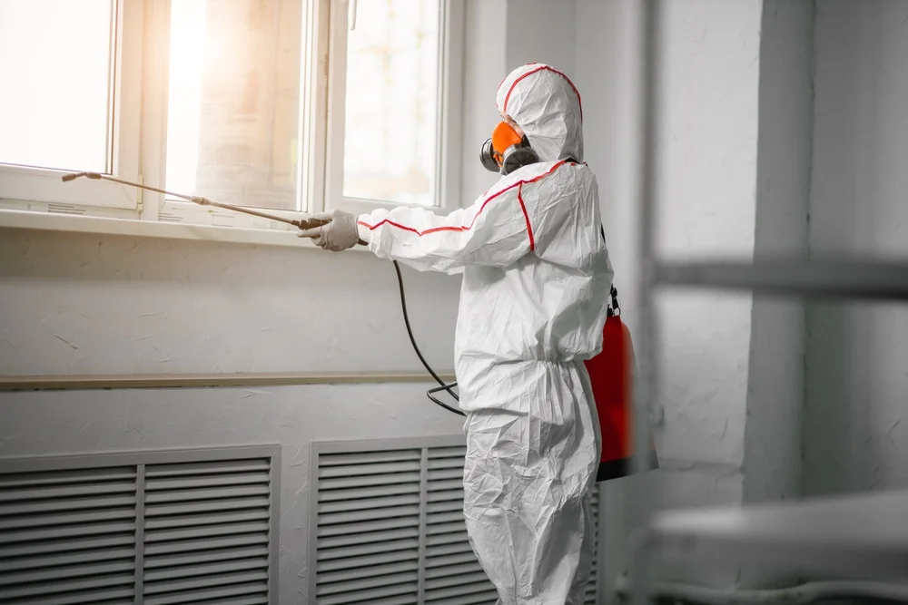 Professional mold remediation services in Statham, GA